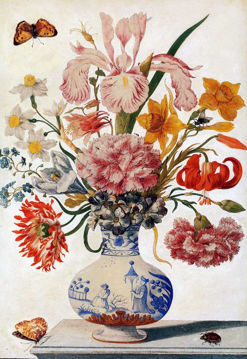 Maria Sibylla Merian, from The Book of Flowers
