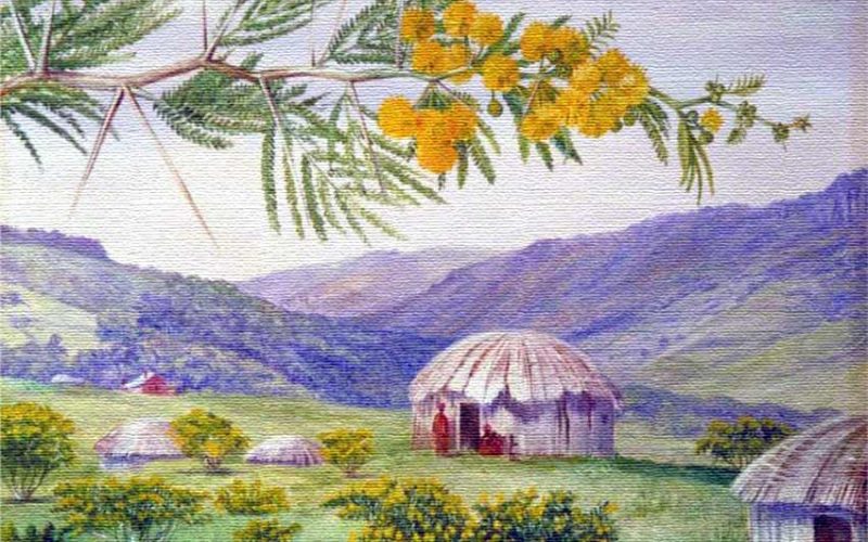 cook-marianne-north-the-south-african-doornboom-and-fingo-huts-1882