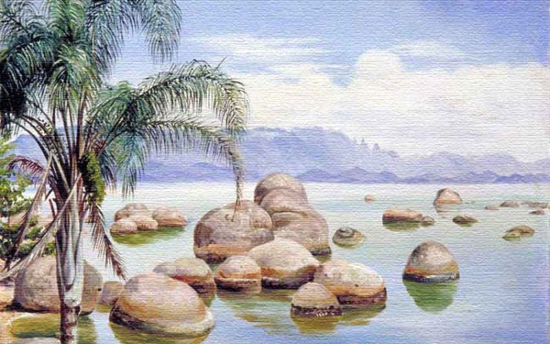 michener-north-palm-trees-and-boulders-in-the-bay-of-rio-brazil-1873