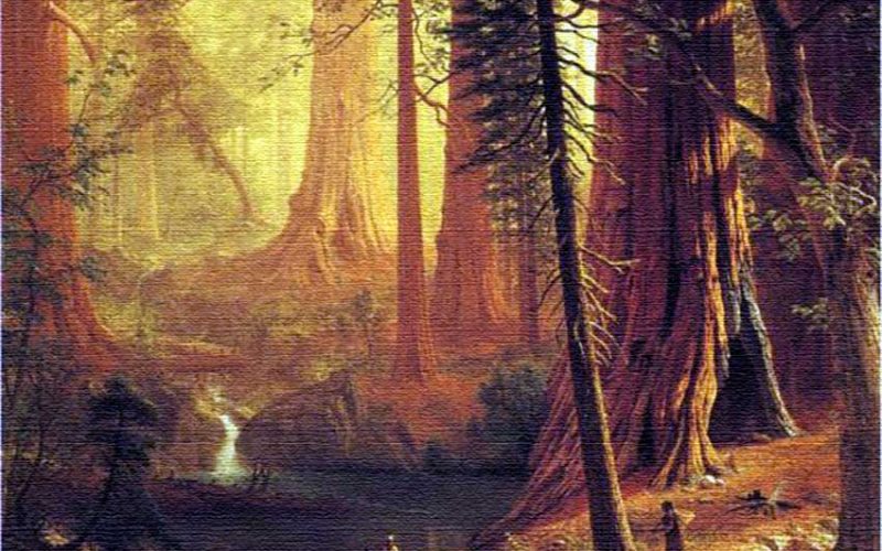 muir-giant-redwood-trees-of-california-by-bierstadt-(1874)