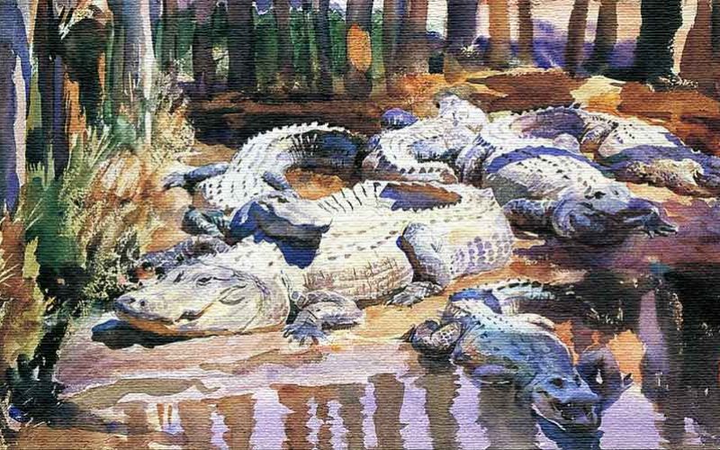 stevens-sargent-muddy-alligators-1917