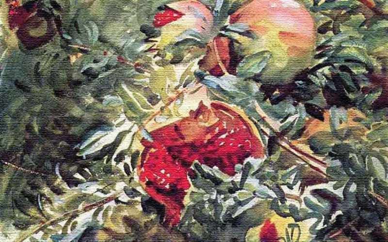 term-late-bloomer-sargeant-pomegranates-1908